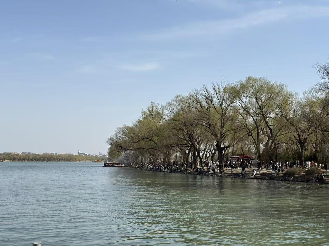 记录我的2026海水兰兰，游船漫漫，尽享春天大好时光