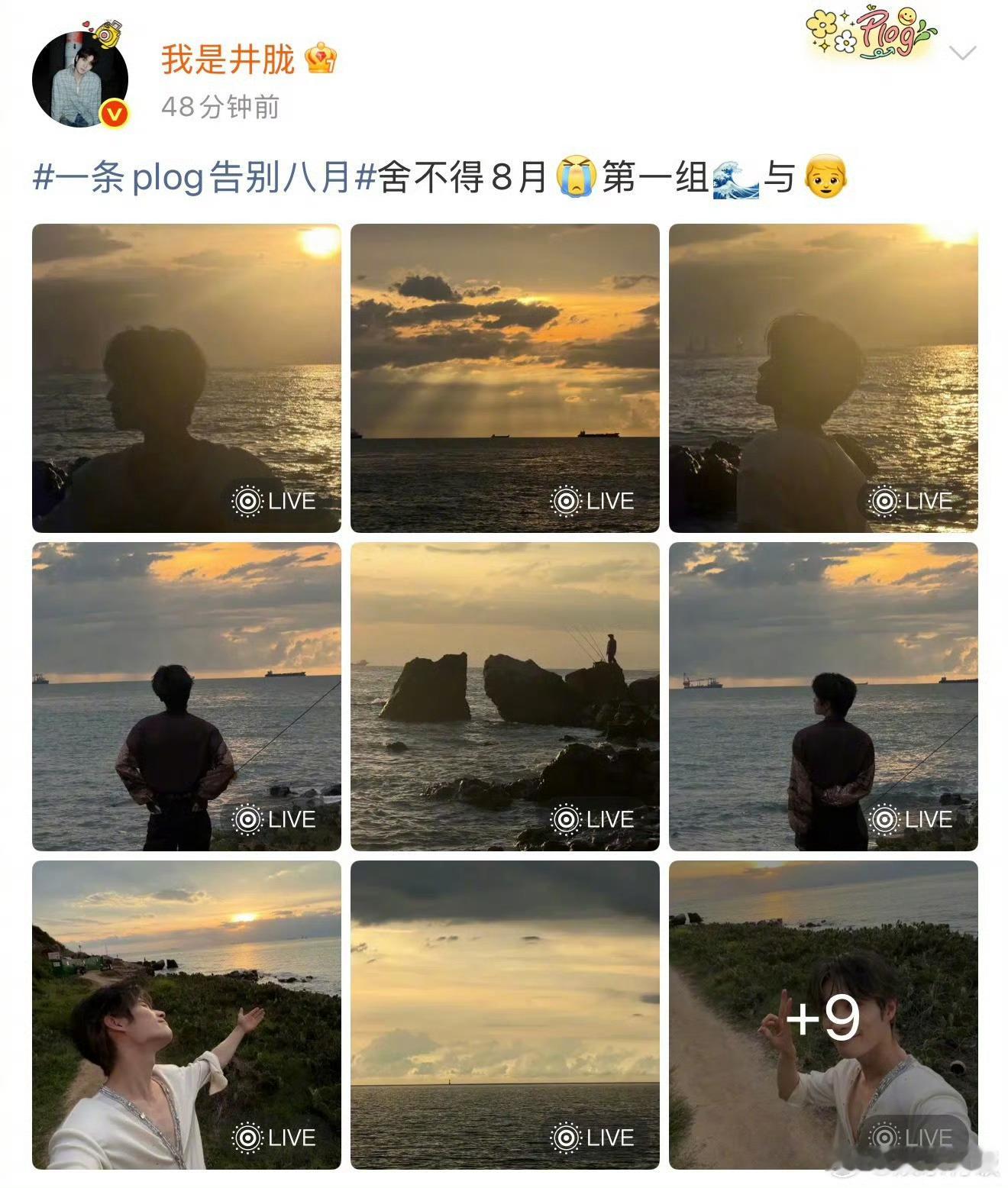 井胧五条plog告别八月五条plog装满八月的糖：晚风里的橘子海，黏人的猫主子，