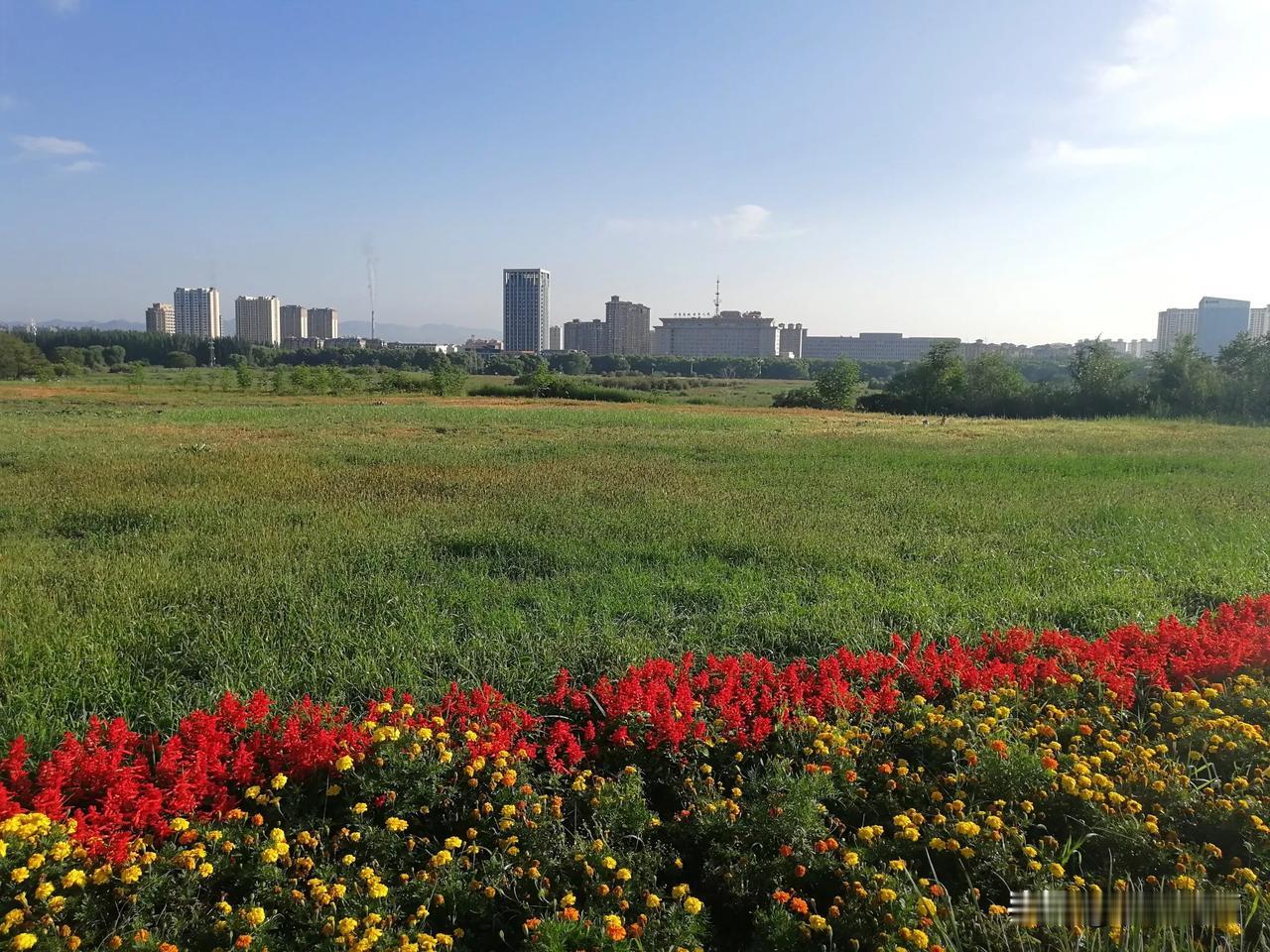  被地震惊醒后又睡了个回笼觉，梦见股市开盘了。自己的持仓股被18万多手封单直接拉
