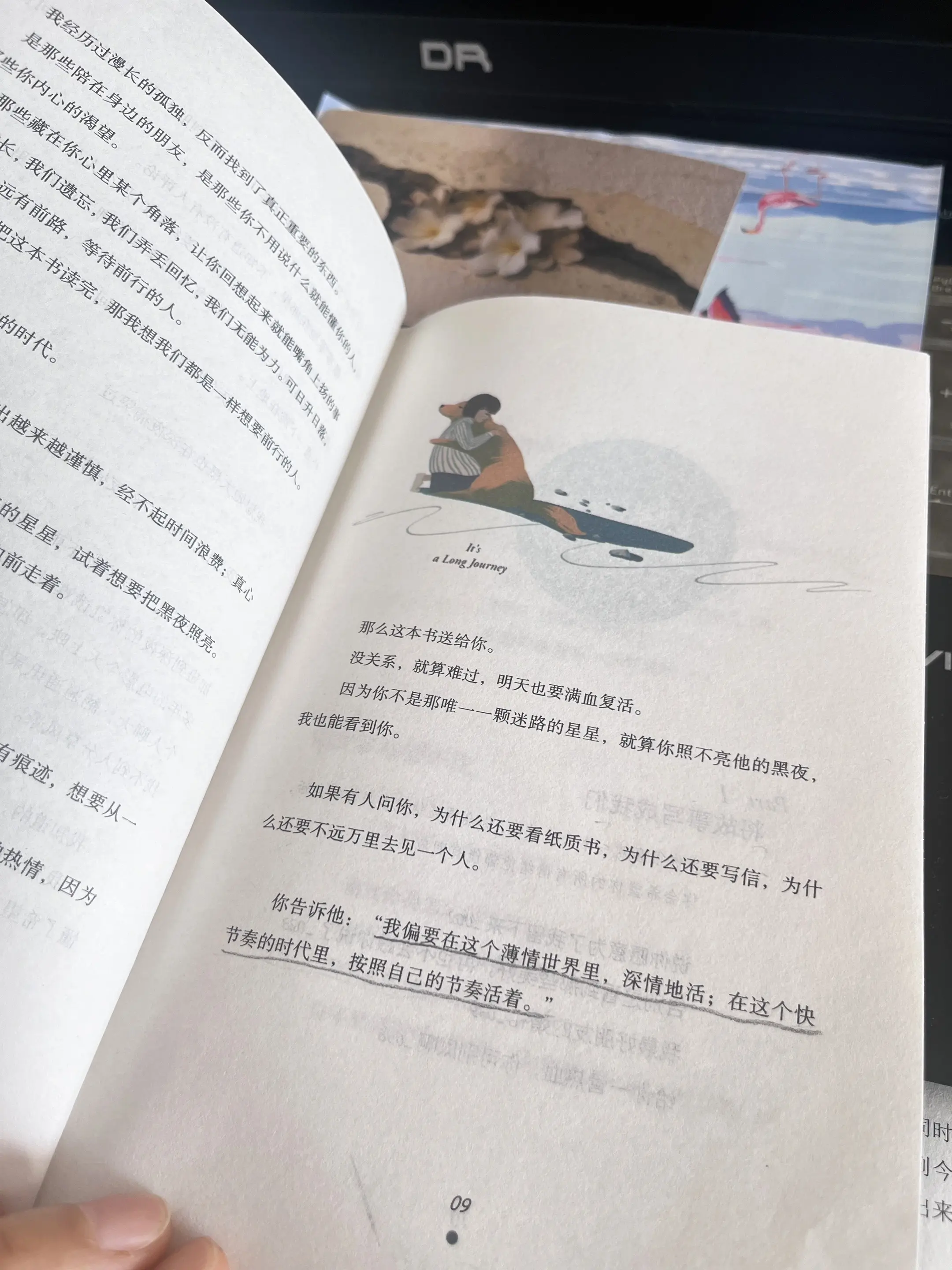 因为你不是那唯一一颗迷路的星星，就算你照不亮黑夜，我也能看到你。