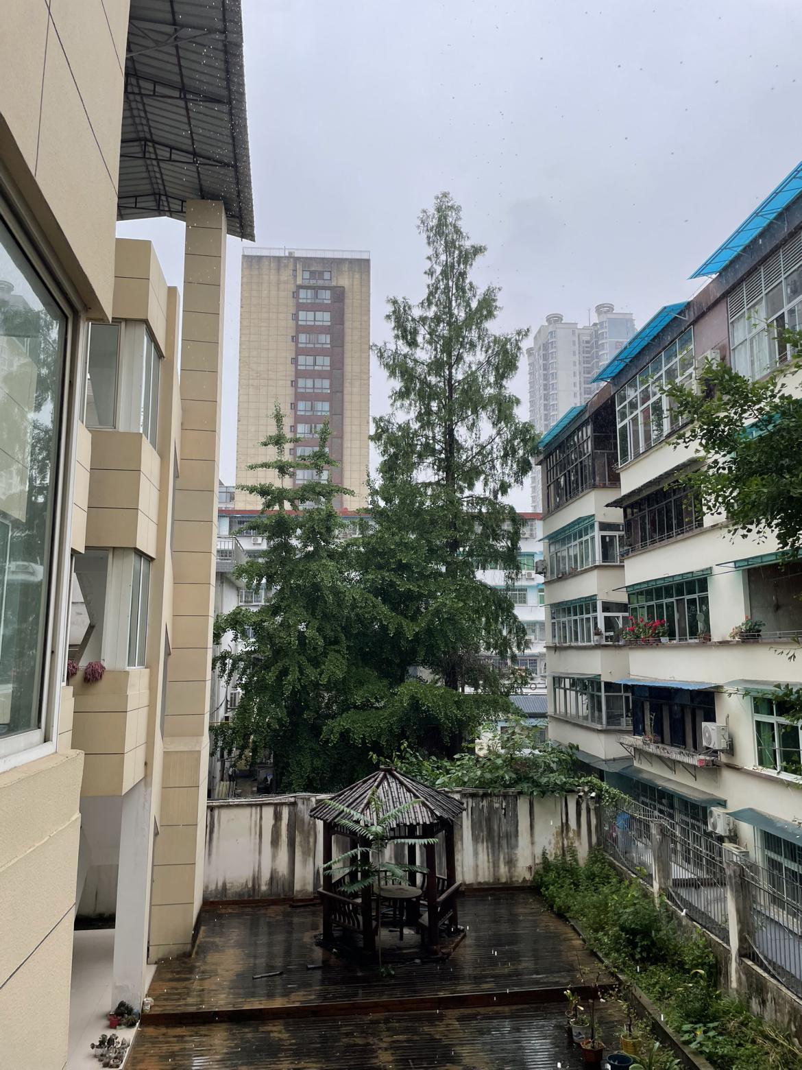 我的今日状态：😎自信酷炫
我这里的天气：🌧下雨
雨季来了，今天已经下了一天大