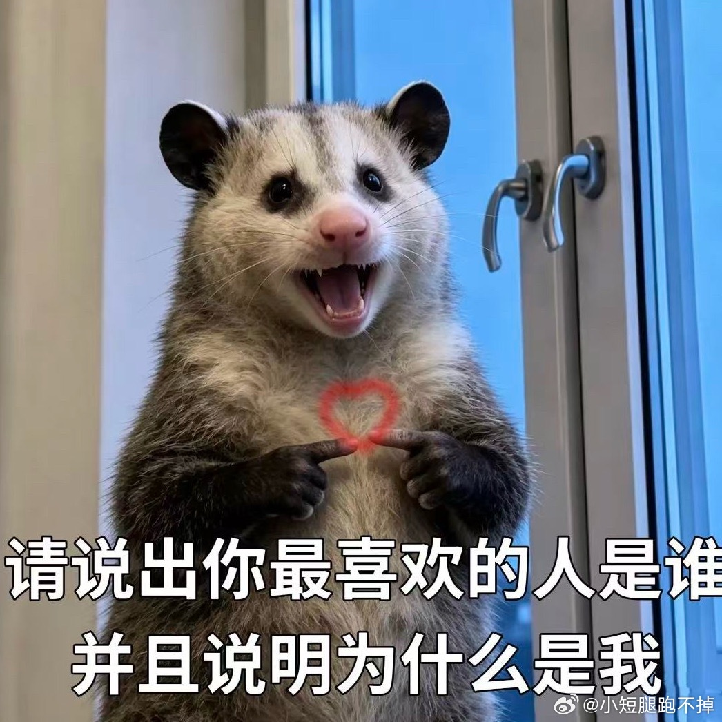 随机提问🙋‍♀️： 请说出你最喜欢的人是谁？并说明为什么是我[害羞][害羞] 