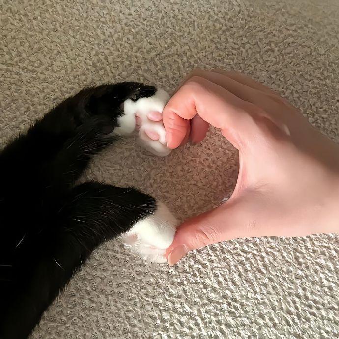 ꒰♥︎꒱ 💬 ˻ᵒ♡ͮᵉ⸝⸝“目前状态: 满脑子前途 偶尔烦躁但能治愈” 