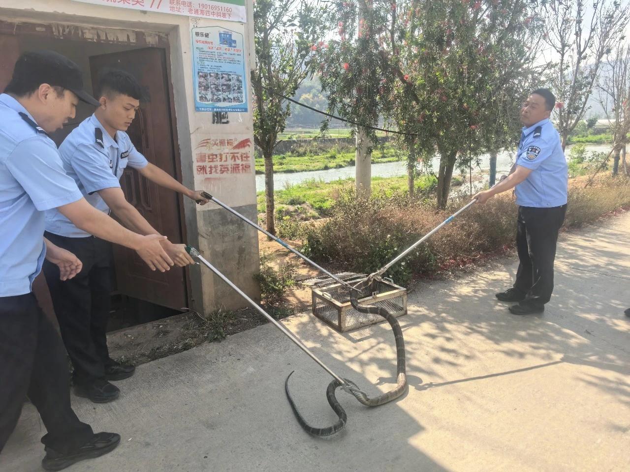 近日，云南省玉溪市通海县高大乡派出所接到高大乡普丛村委会来电，称陶茂村抽水房出现