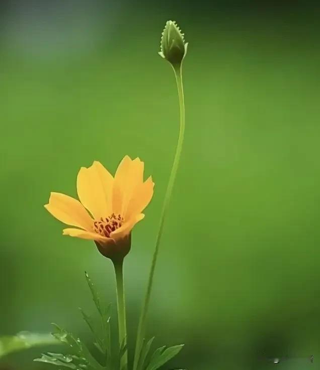 道家说:
“任何事情，只要有迹象阻止你，频繁的出现波折，这个时候，你就该停止。凡
