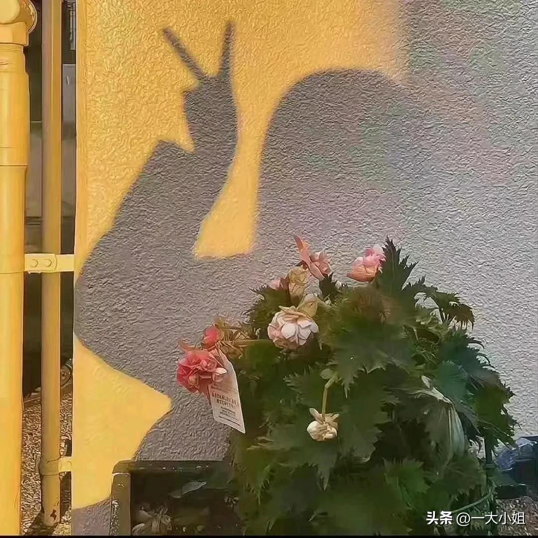        洗衣服搞卫生，衣服必须做到分类、分色、分人，两个洗衣机工作。地面小