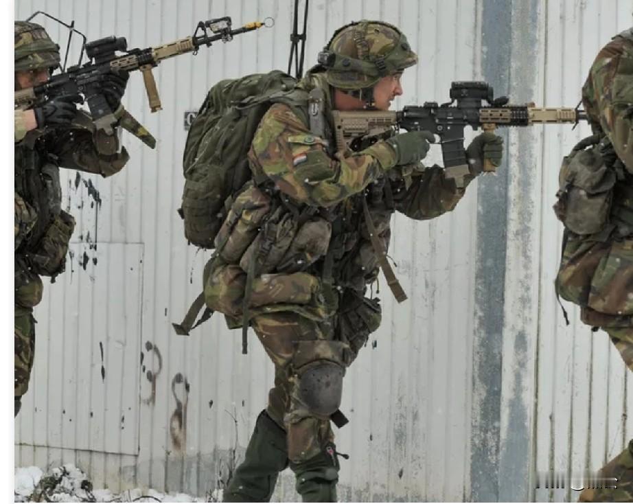 北极警钟：北约急着秀存在，却被极寒冻住战斗力🔥
 
特朗普频频放话要拿下格陵兰