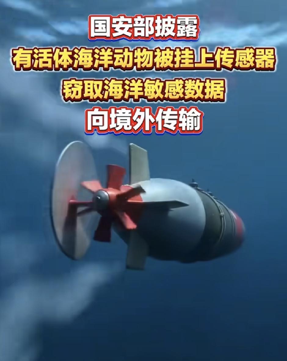 深海暗战！境外“谍龟谍鱼”潜伏我国海域，曾多次抓过“大黑鱼”
 
我国1.8万公