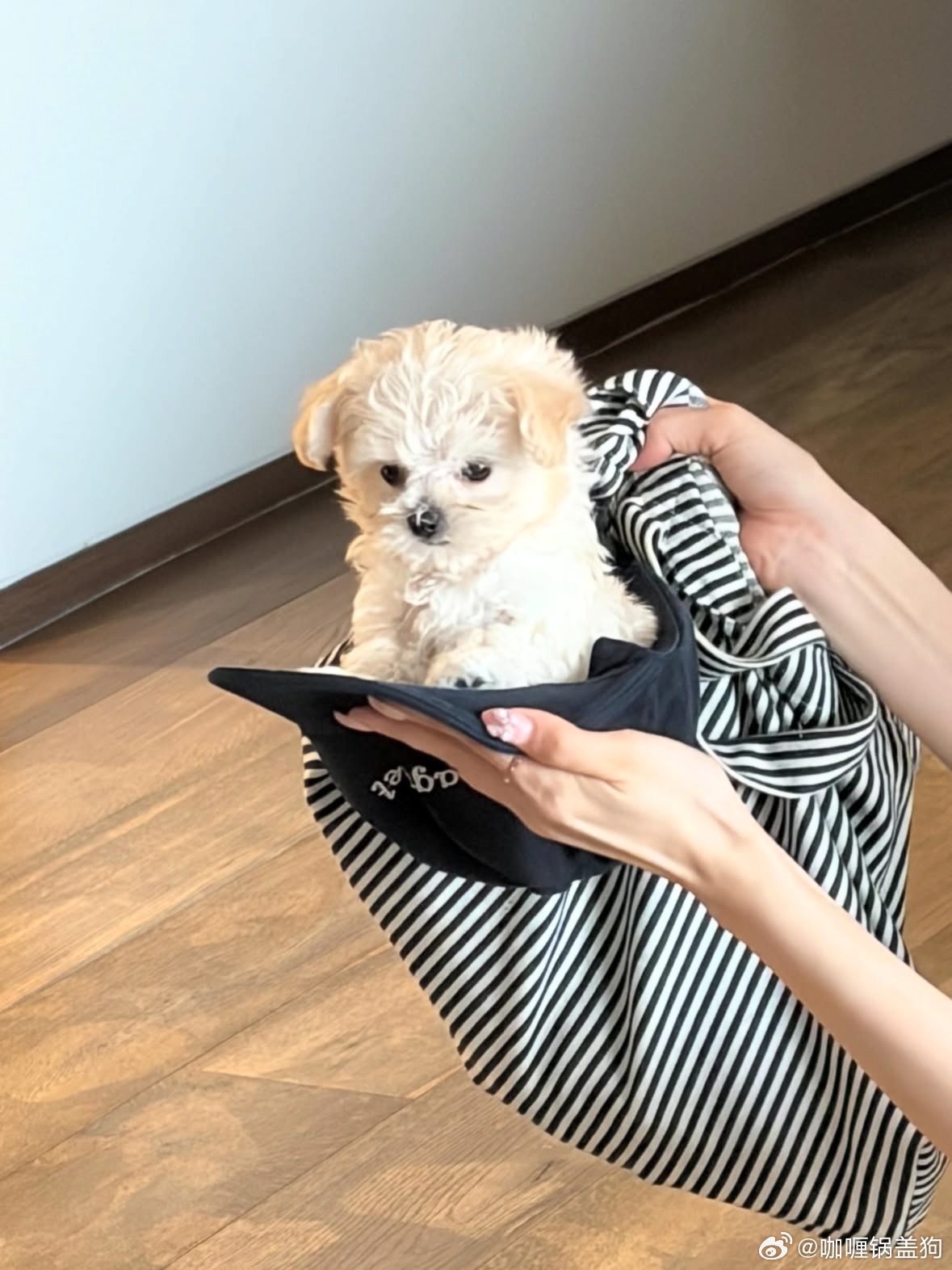 我孙子波妞 