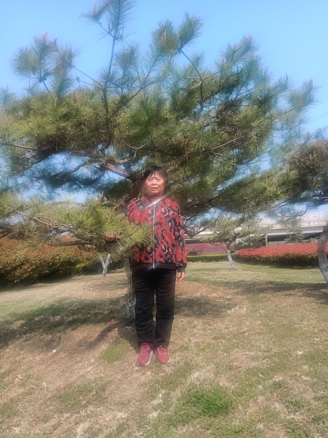 心随所愿
藏头诗
文/李兴伟
心随吾动蕊初绽，
随吾意趣情波泛。
所思伴吾心所念