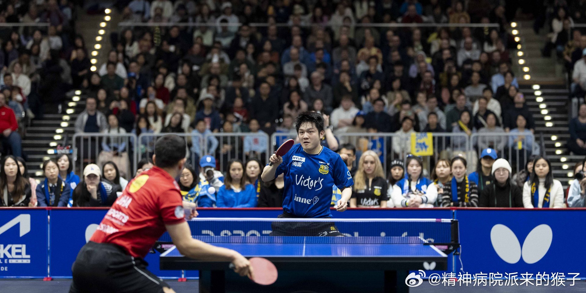 【德媒】杜塞尔多夫与樊振东实现共生效应，蕴藏全球潜力：成绩自会证明一切。首次拥有