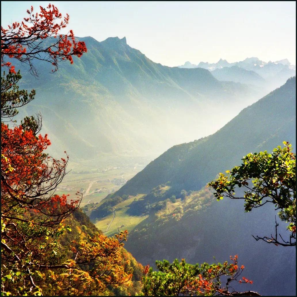 秋山晚景
文/袁思荣

一径深秋映玉娇，溪川无浊咏歌谣。
连崖绿翠寒山静，断壑轻