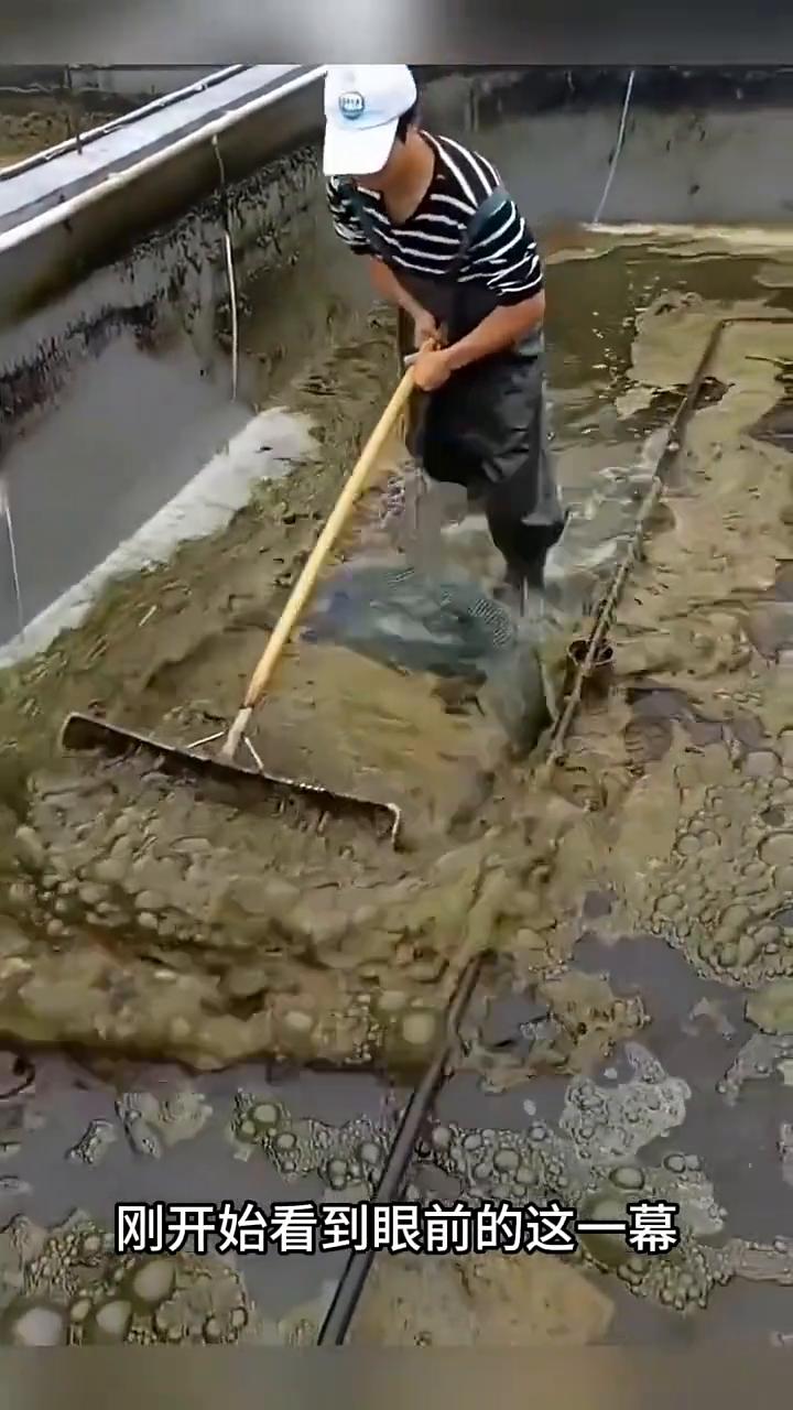 这要不是亲眼所见真的令人很难相信。刚开始看到眼前的这一幕，我还以为这位大哥是在清
