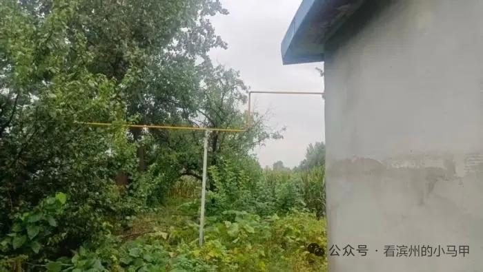 滨州现村民燃气管线纠纷
 
据品质滨州:

山东滨州市陈家村村民陈先生反映，其责