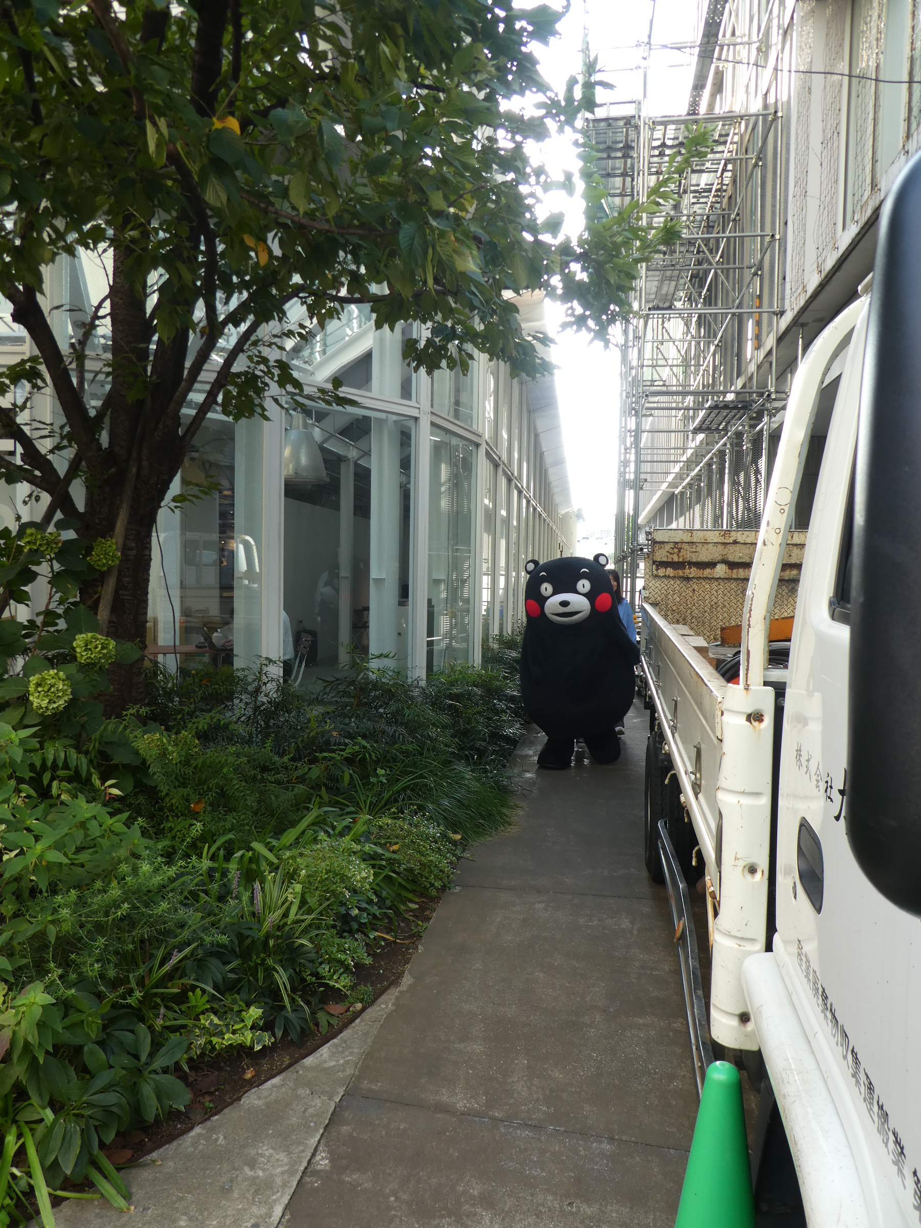 转发，近期有好运气向你走来🍀 ​​​