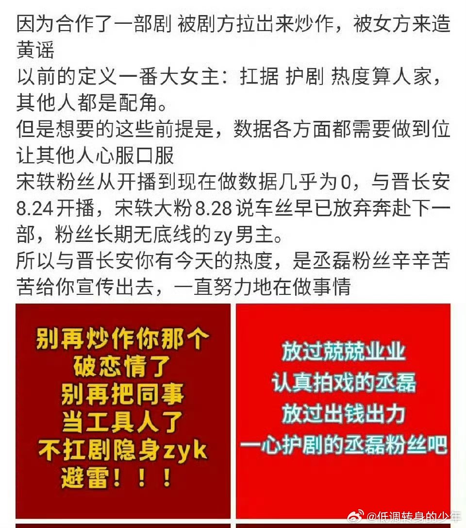 丞磊粉丝在维拳，要求告宋轶大粉！ ​​​