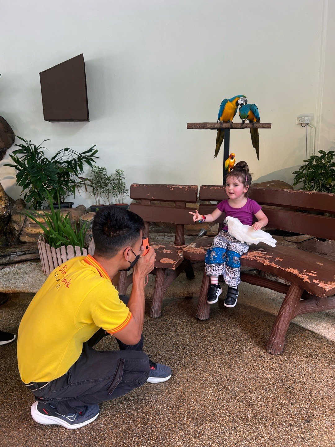 小姑娘挺勇敢的，前面一个俄罗斯小男娃哭得稀里哗啦的。 马来西亚·吉隆坡飞禽公园