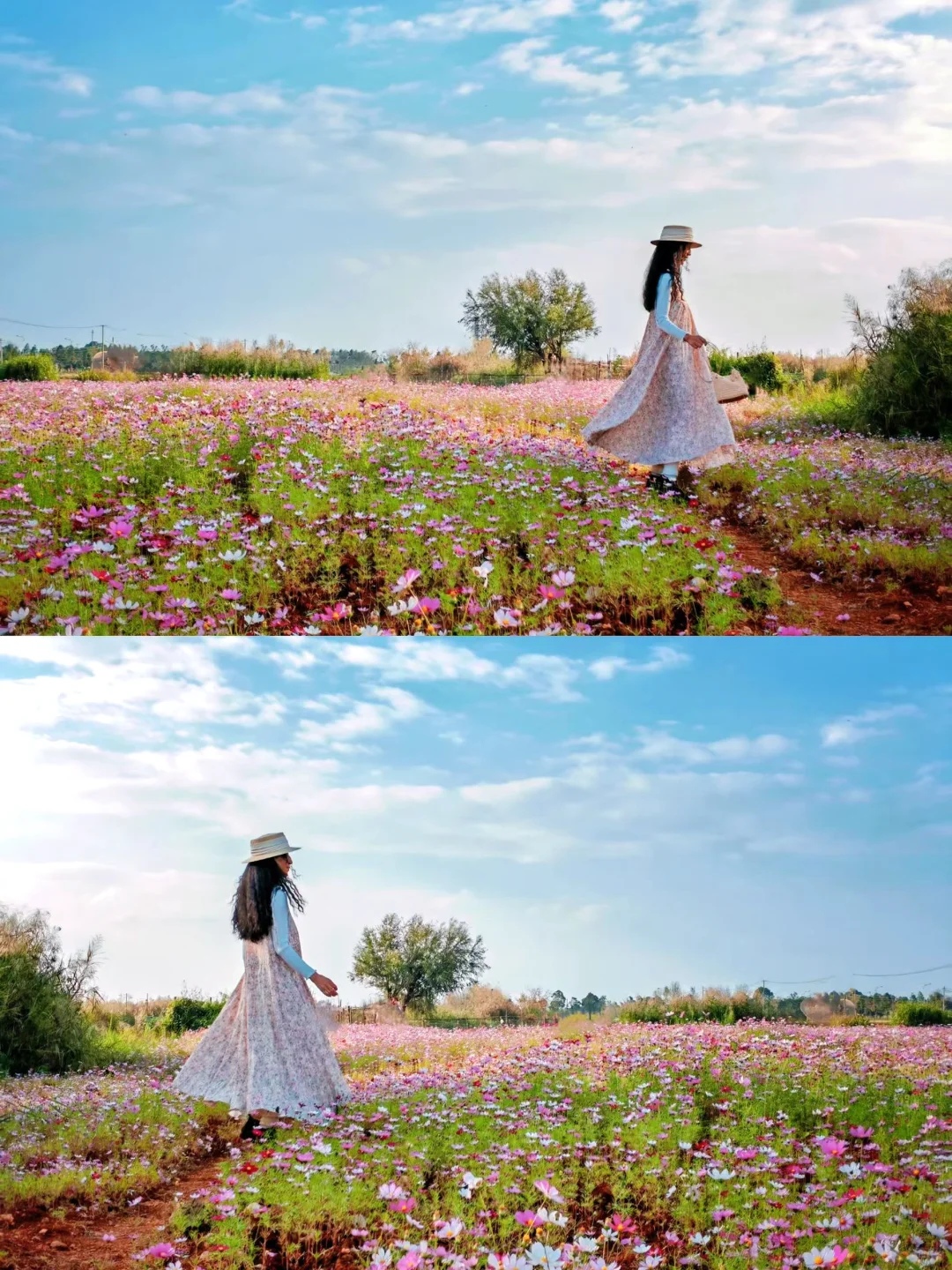 🌸穿上碎花裙子来昆明周边当仙女吧…
