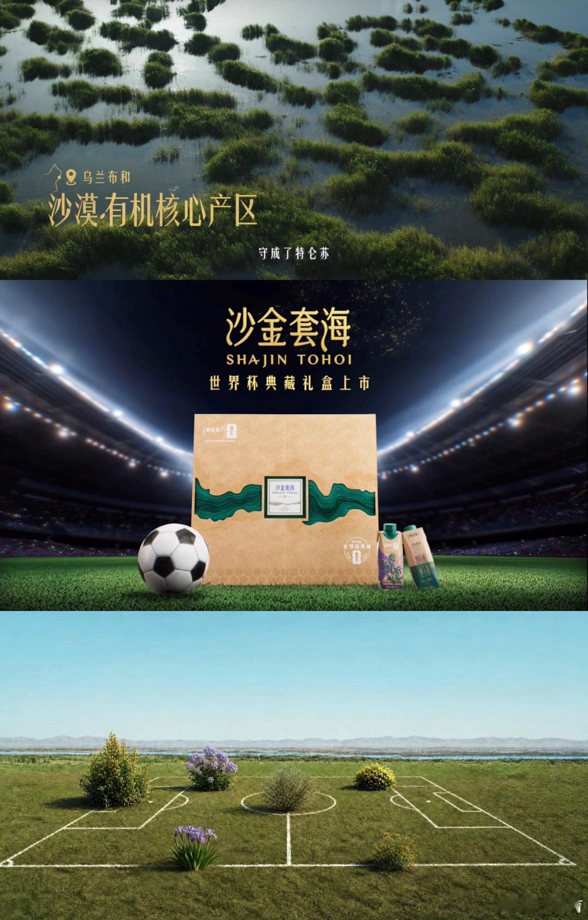 张云龙说这是世界杯级防守世界杯上，进球赢得欢呼，防守赢得冠军。马尔蒂尼的预判、卡