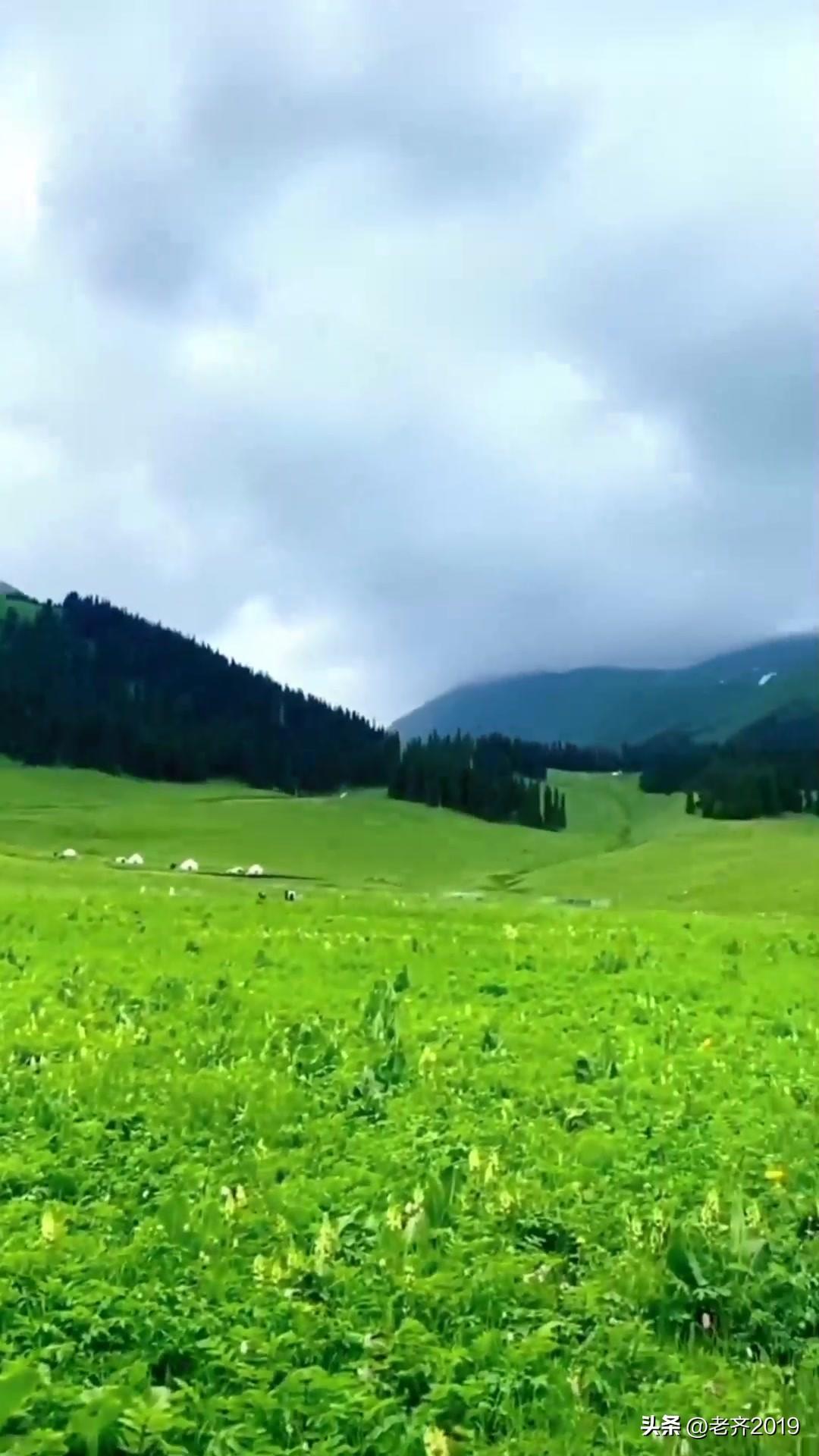 当然可以去，但不是和静县城，而是两个风水宝地：
第一，巩乃斯林场，和那拉提空中草
