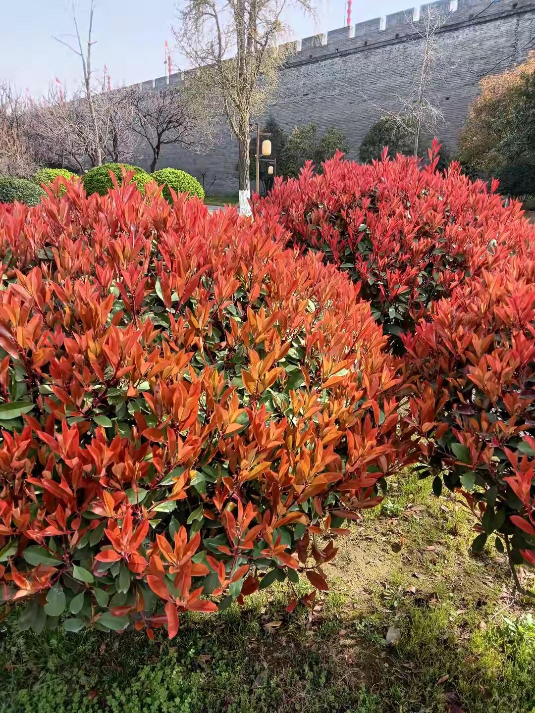 但实际上，最大的敌人往往不是别人，而是我们自己内心那颗不安分、不自律的心。

人