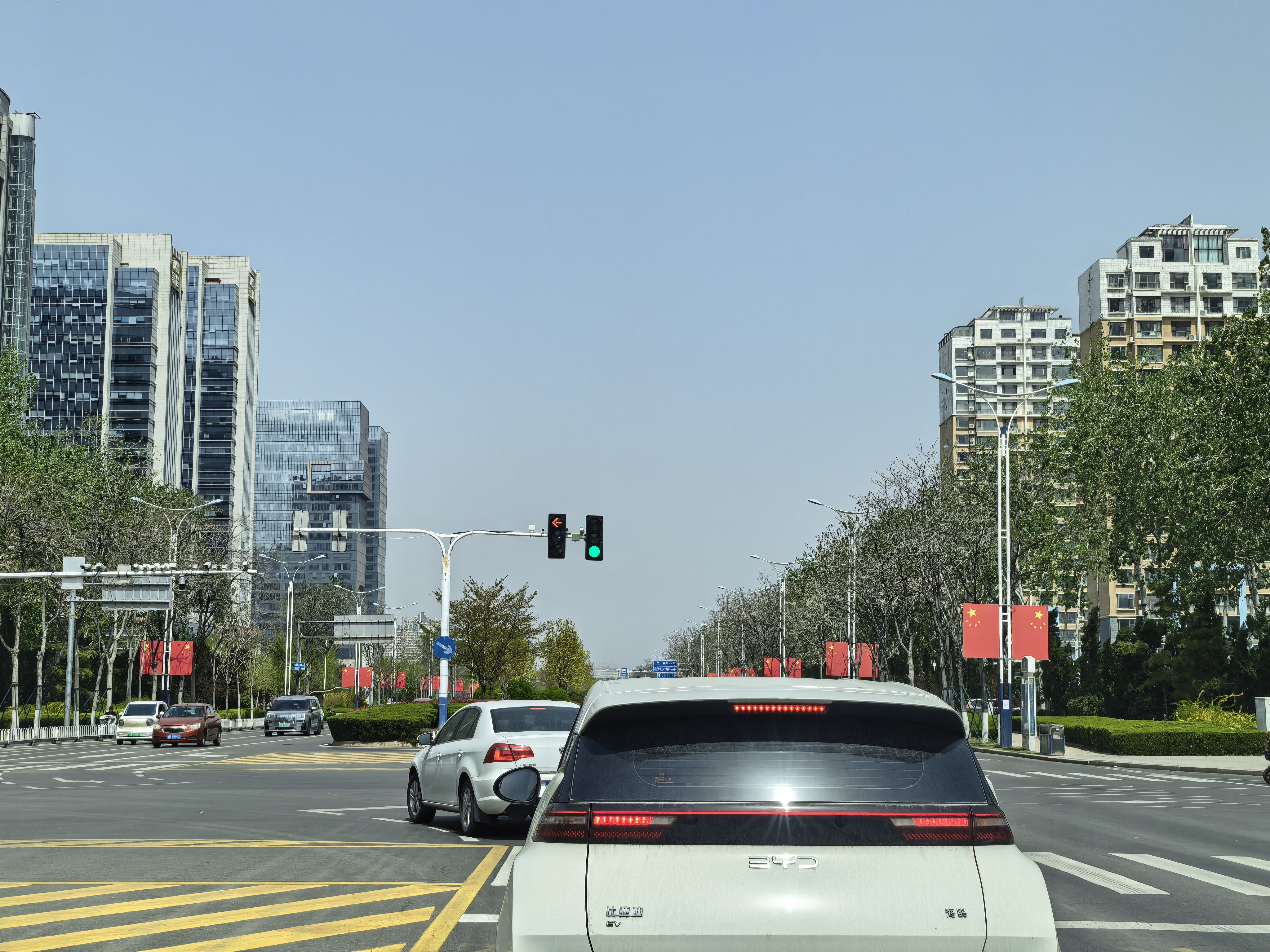 昨天刚说今年城市治理好，没有杨絮柳絮了，结果今天杨絮柳絮就飘起来了