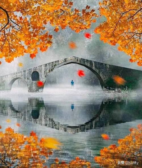 看着金鱼一次次逆流而上，明明水流那么急，一次次被冲下来，却还是不停往前冲，真的太