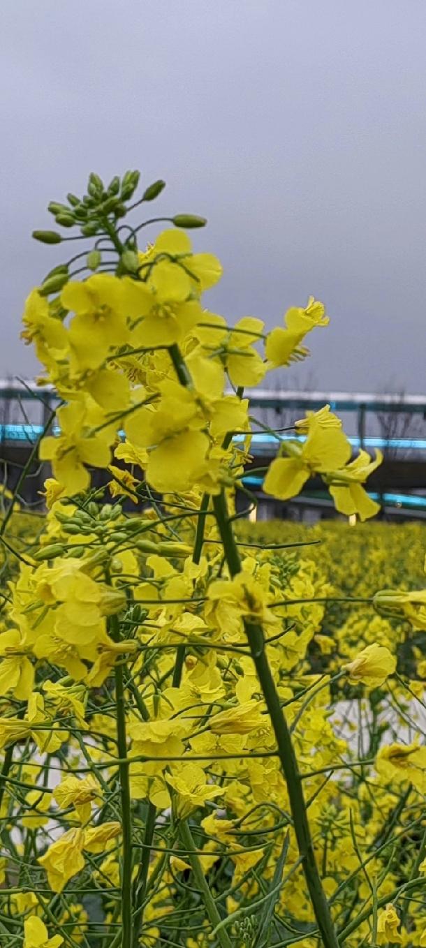 层次越高的人，越不纠缠这4件事：

1. 不纠缠“烂人烂事”：遇到不讲理的人，转