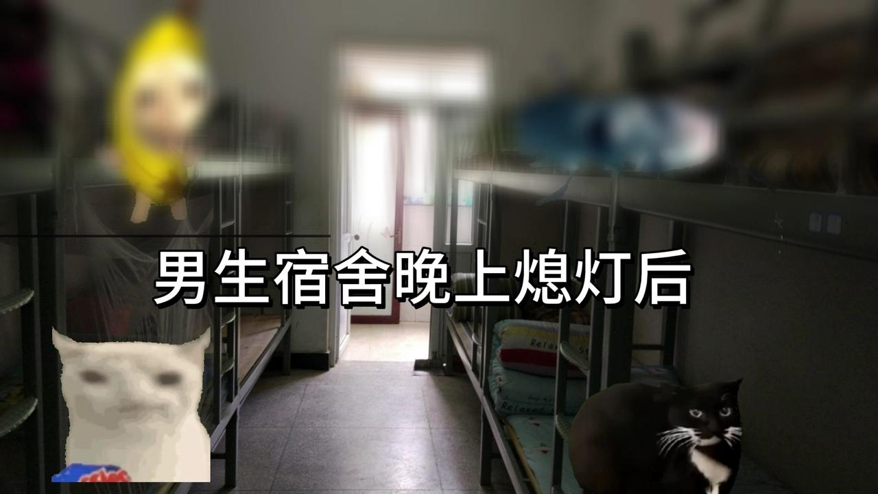 还记得大学宿舍晚上熄灯后的夜谈吗？
说来奇怪，本科按时停电查寝的时候，偷电或点蜡
