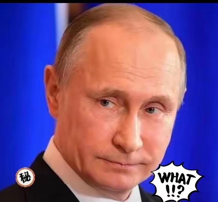 快报！快报！
普京宣布
10月10日，普京刚刚宣布把精心筹备半年的首届俄罗斯-阿