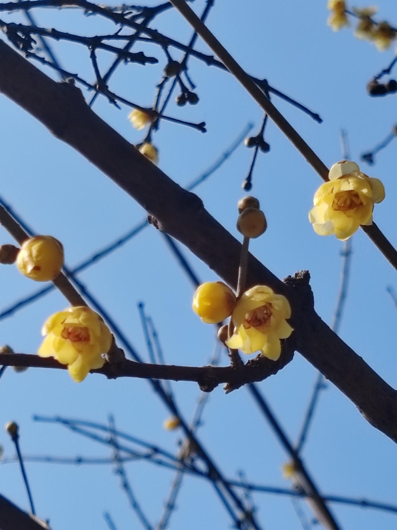 借钱给朋友要不回怎么办 朋友借钱不还真的太闹心了。我有个朋友，几年前借了我一笔钱