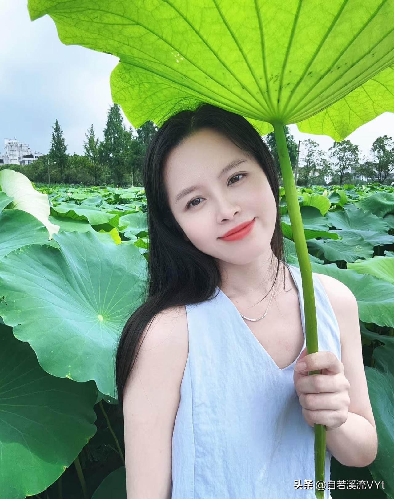 清平乐·荷荫佳人
 
碧塘风软，
翠盖遮清婉。
一柄凉荷遮玉面，
漫把夏光轻揽。