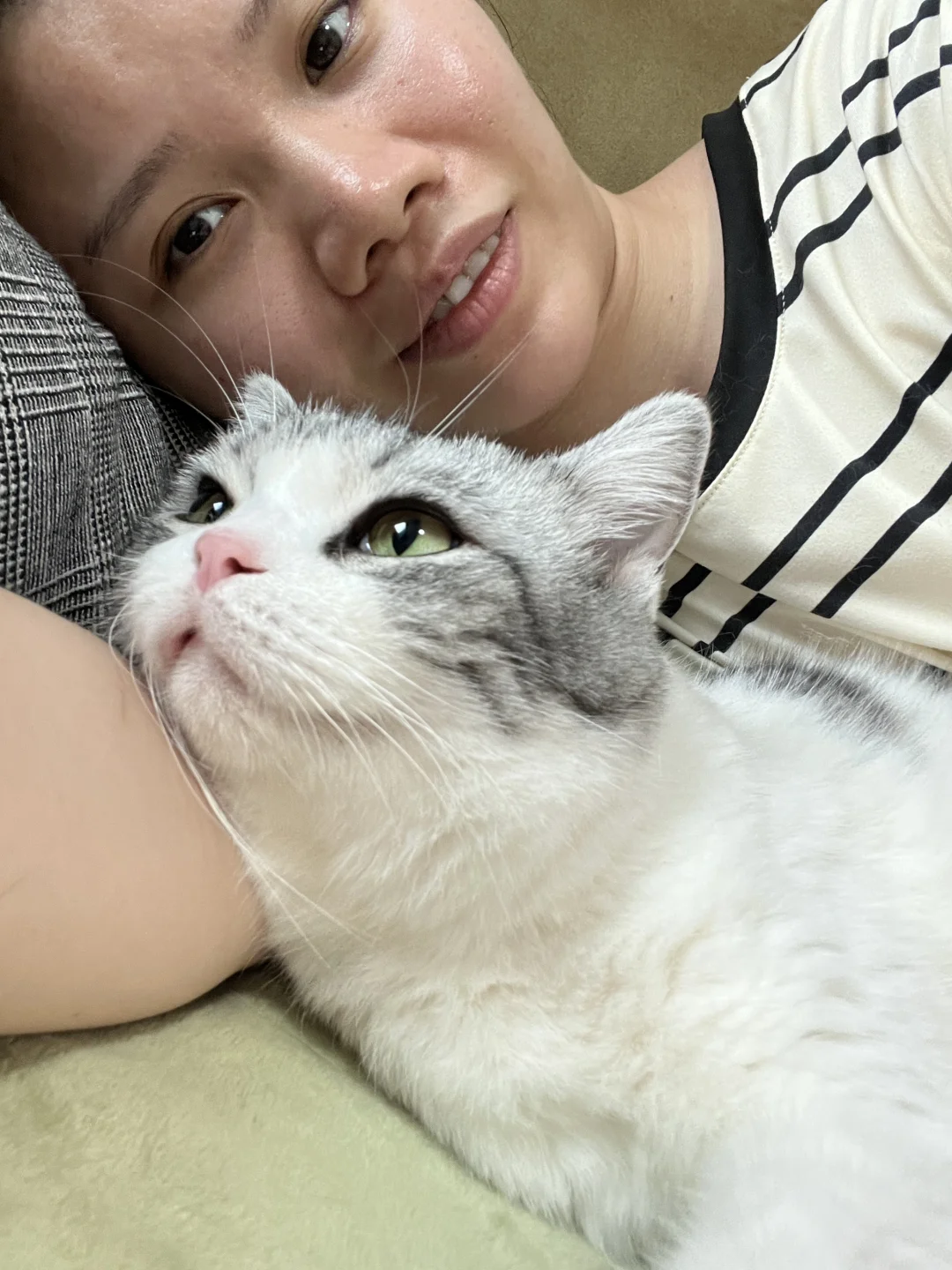 小猫咪就这么水灵灵地滑进怀里啦