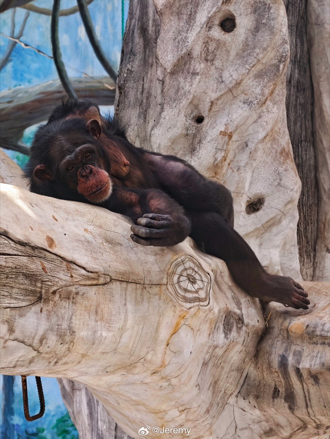 动物园一日游。 杭州·杭州动物园