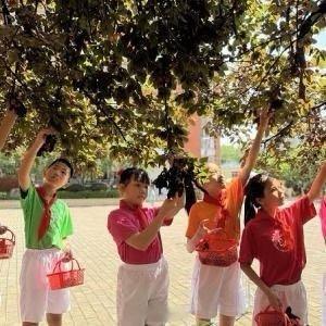 赣州身边事 【赣州市滨江第二小学：桃李满枝伴成长 劳动感恩悟初心】 网页链接