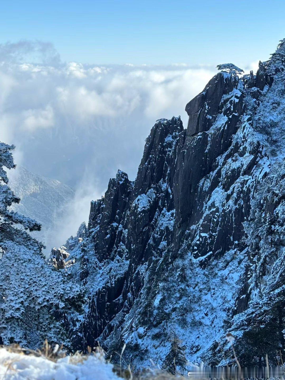 特朗普承认服用阿司匹林特朗普真的很认真工作我辈楷模真的很拼初了羡慕也不知道说啥黄