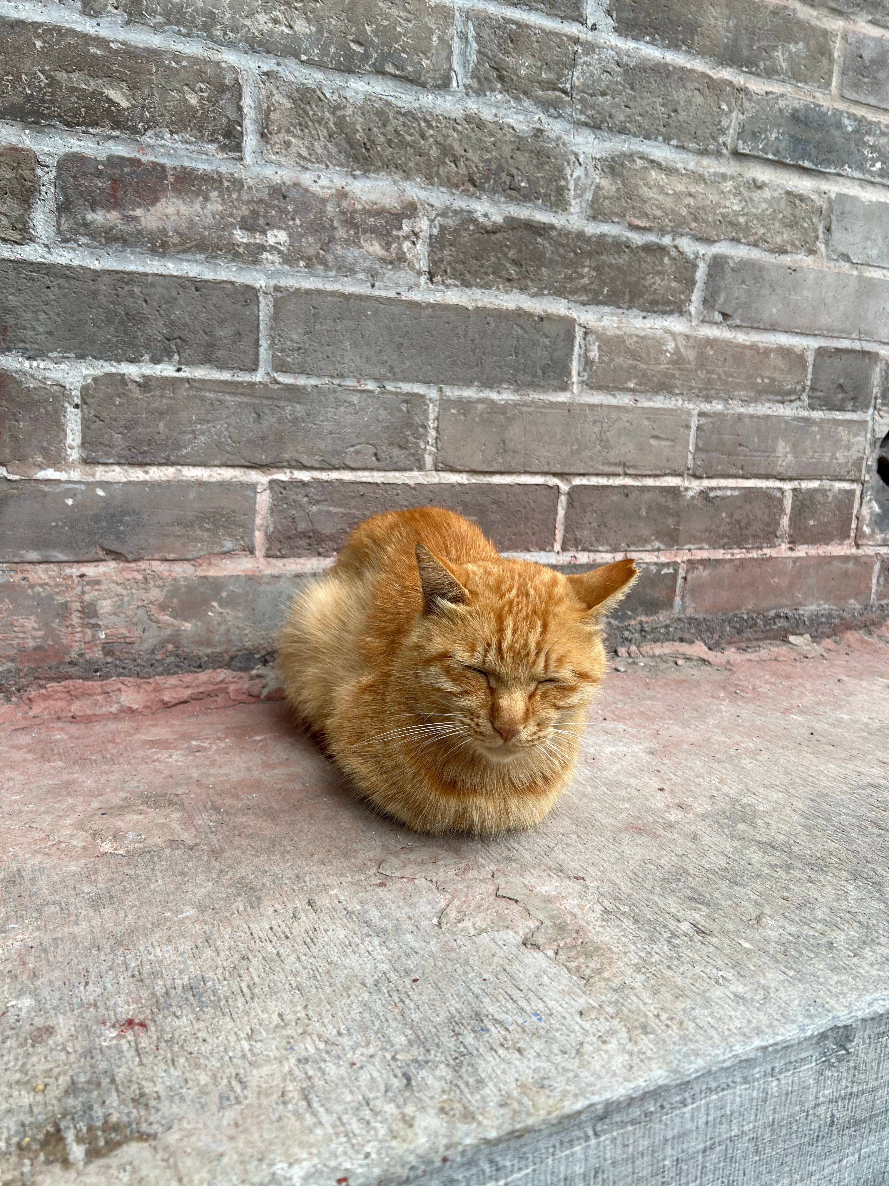 我在北京。 ​​​