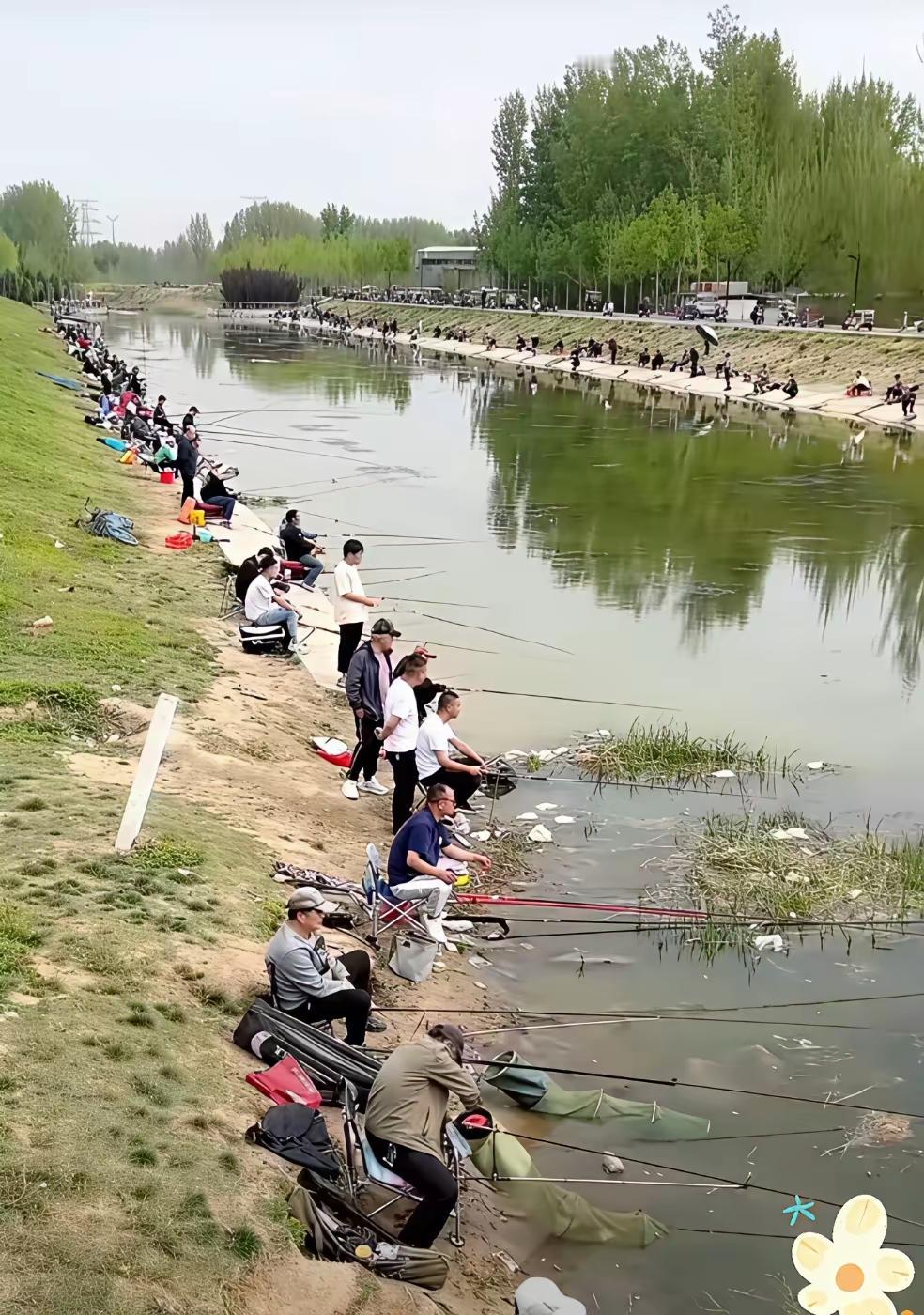 我是真的想不明白[捂脸]家门口一条小河两边，每天都挤满了钓鱼的人，这些都是些什么