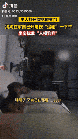 11月3日，山东烟台，一女子下班回家后，她打开监控看懵了：发现狗狗自己开电视，随