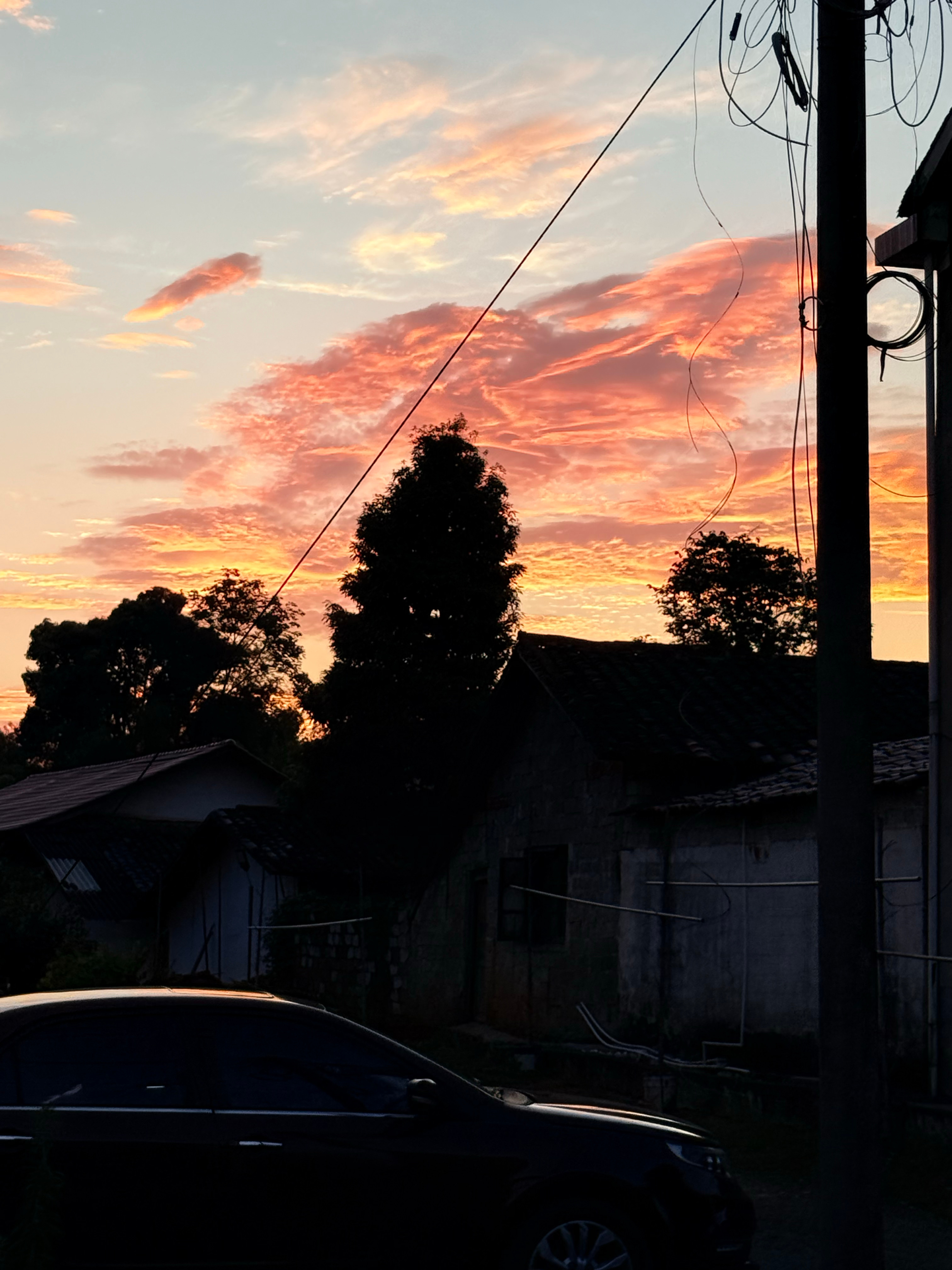 让花落花 趁着夕阳还没落下 