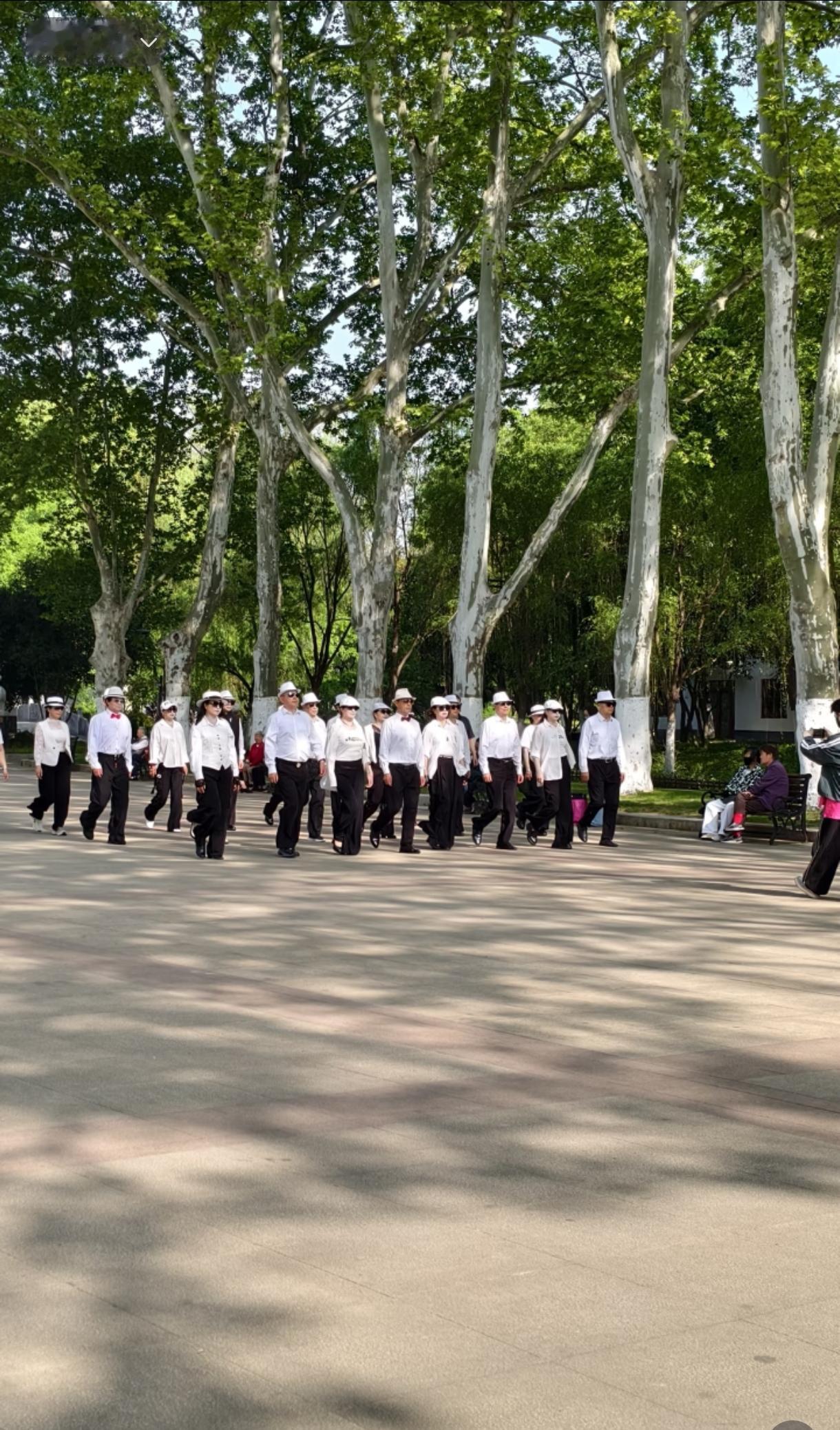 朝气蓬勃老年人，元气大伤年轻人。衣食无忧才能潇洒自由。赶紧找点活干吧，这看着比年