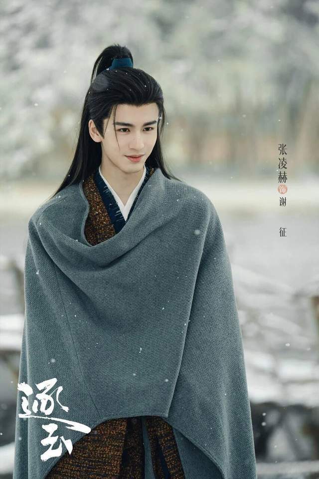 播剧20天张凌赫涨粉536.7万 谢征人设反差太绝！病弱赘婿与铁血侯爷无缝切换，