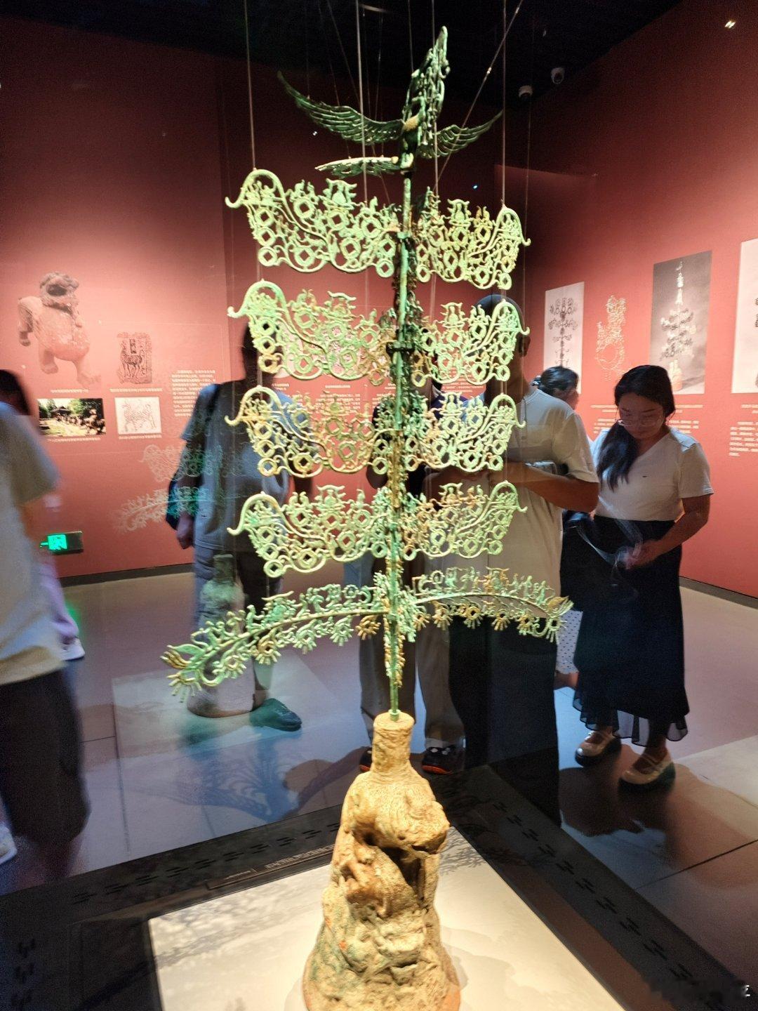 成都游学，液冷，虫草种植，川博，青年泽平入川，道法自然 