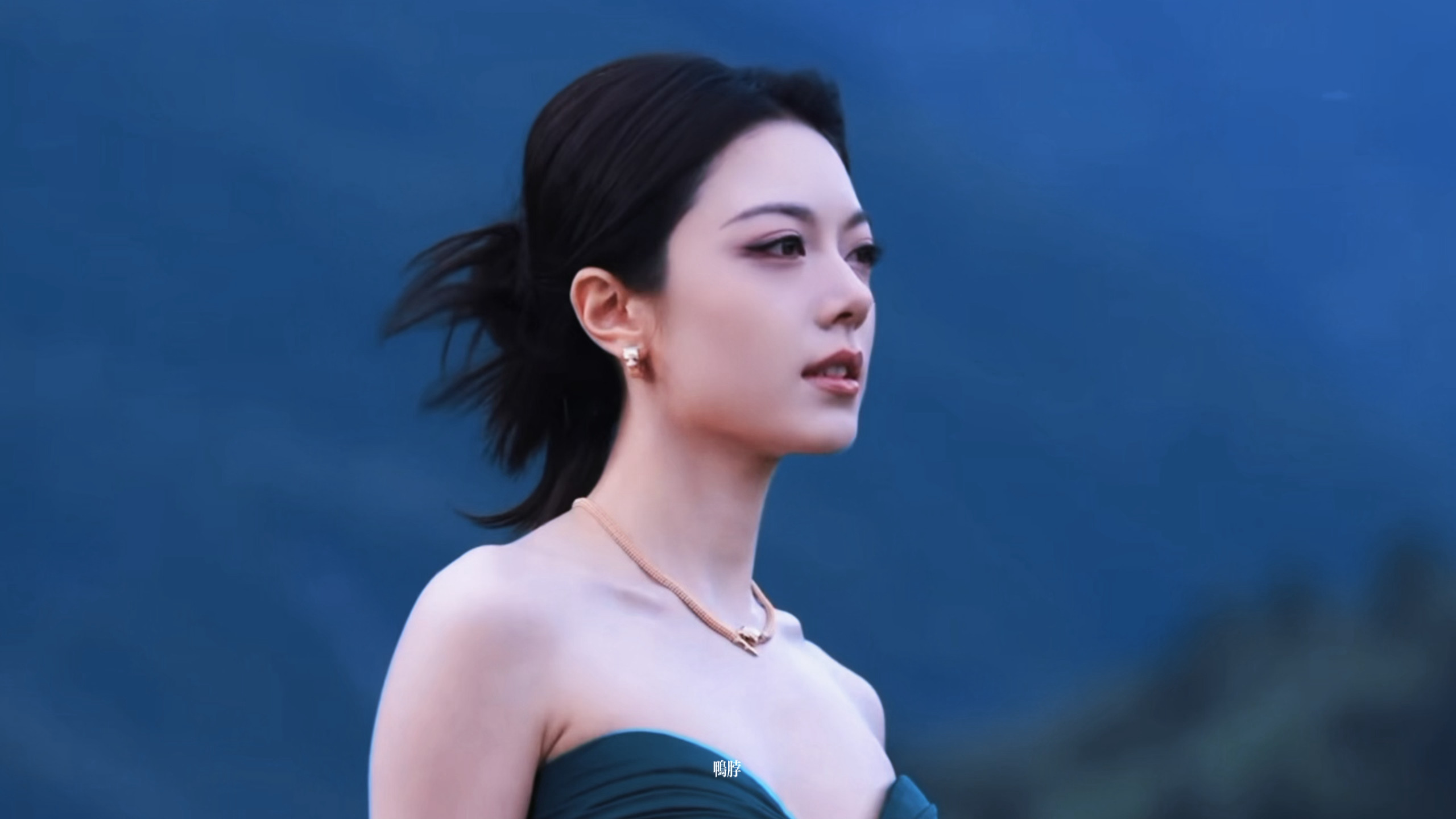 丛林猫 VOGUE红毯直播