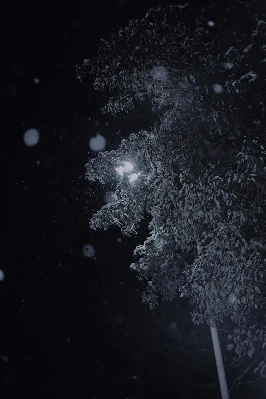 夜雪落旧宅。