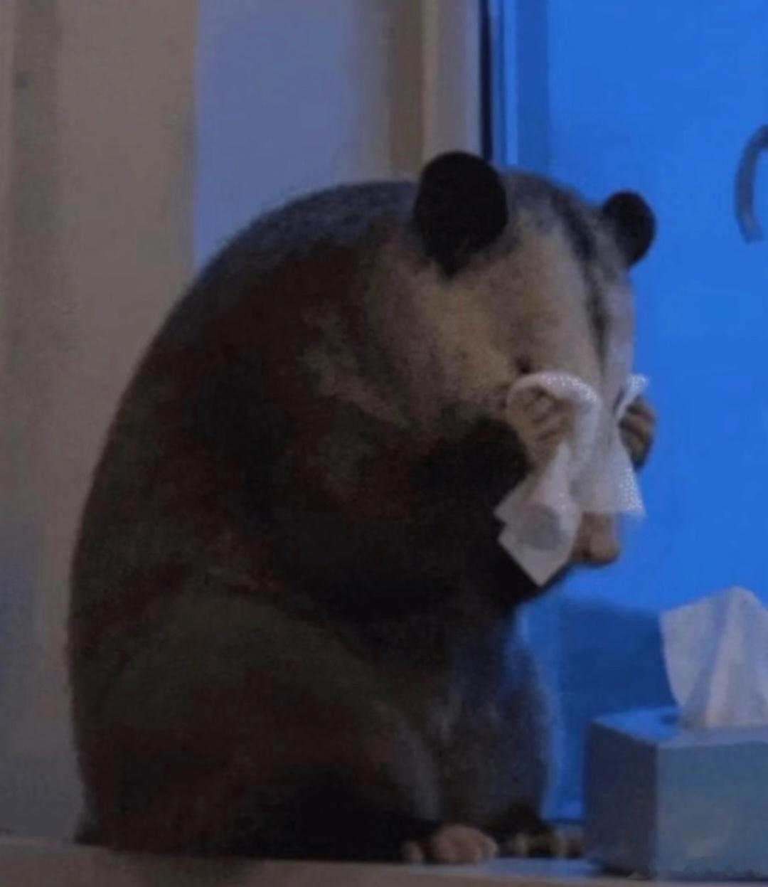 他今天太忙了没回来，我自己一个人睡觉睡不好，我要我哥哥陪我睡。我以后再也不嫌他重