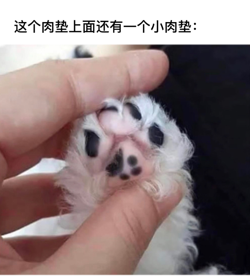 套娃#今日memes# //#春日cityhappy计划# ​​​