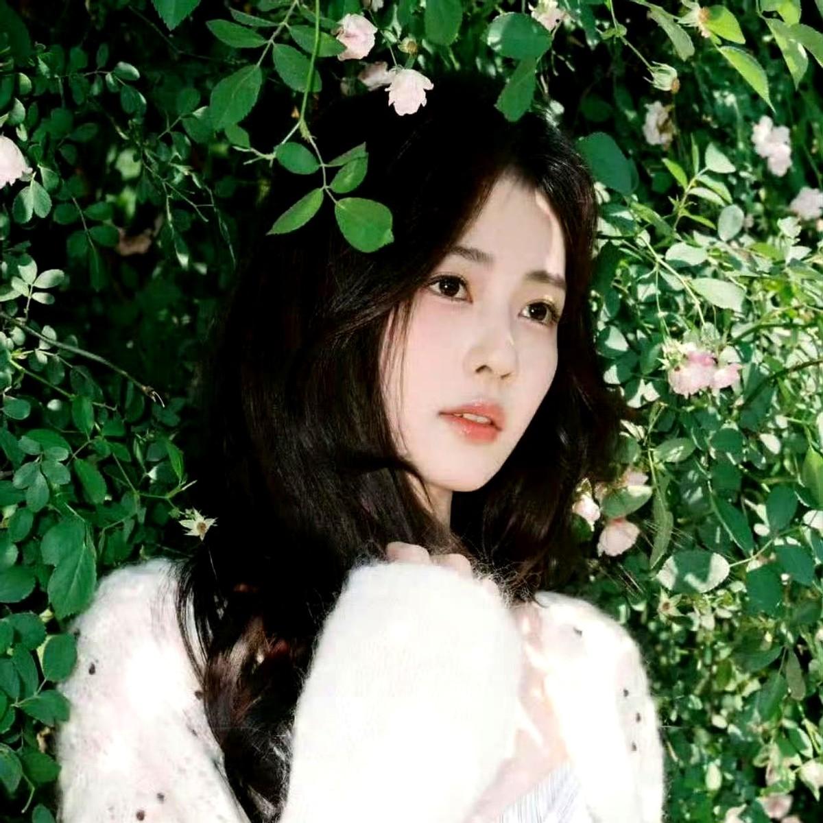 白鹿、周翊然同回一个小区，这事儿真没那么简单。

一前一后，司机先送女方，男方再
