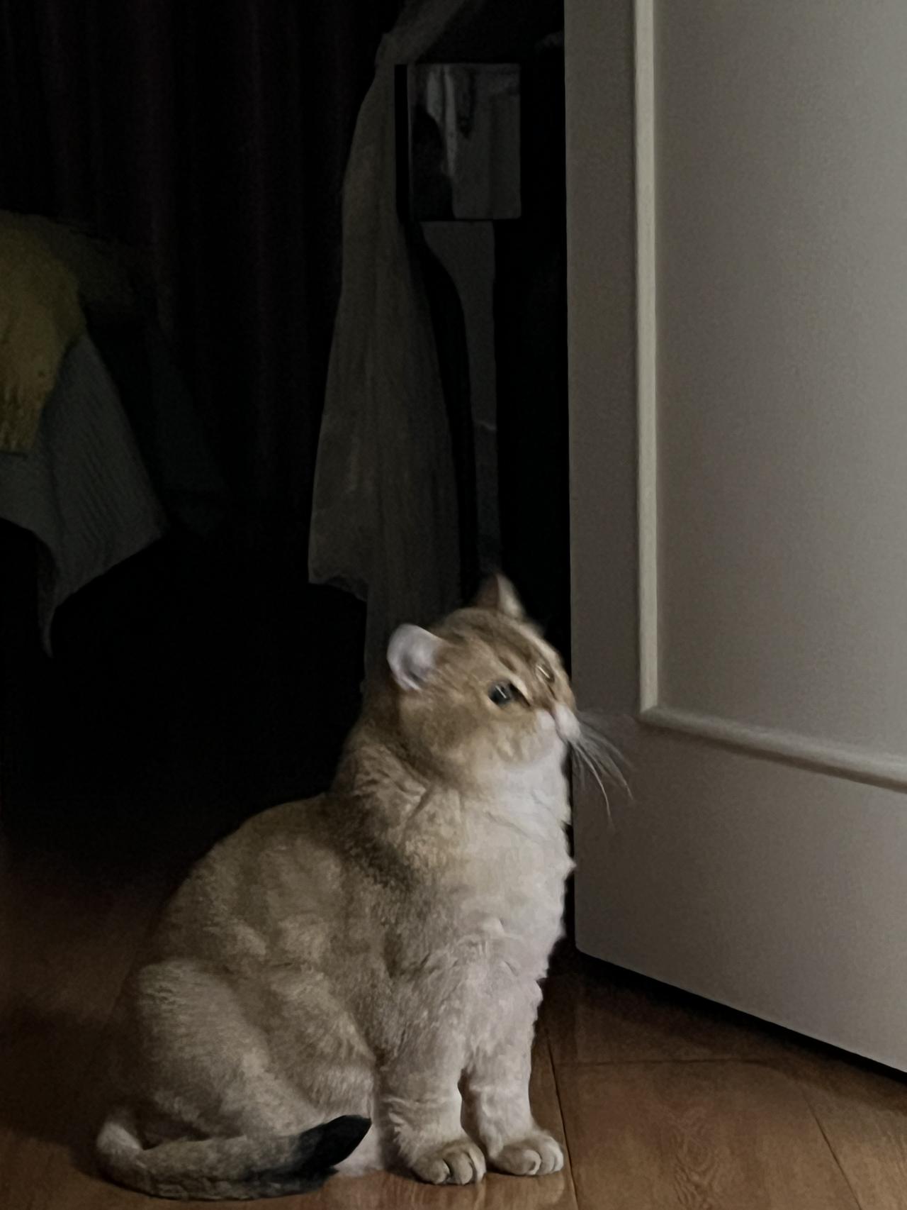 喜出望外啊 京城提前十天供暖了[赞]