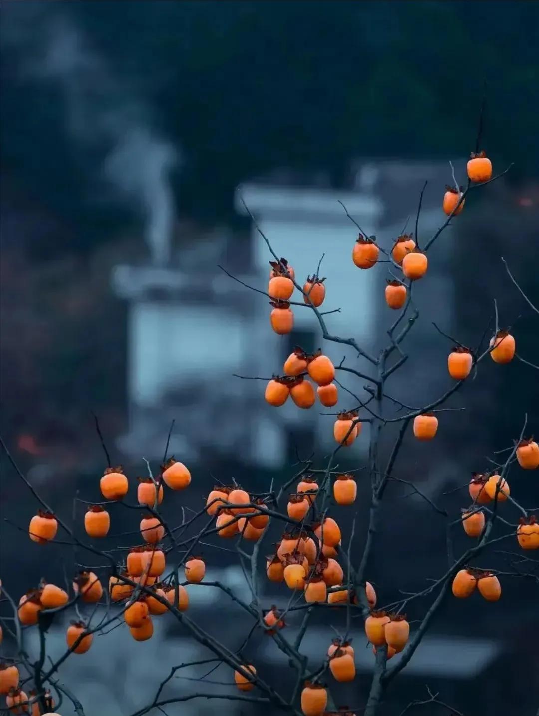 嘿，家人们，我这儿有个挺让人纠结的事儿想和大家唠唠呀。我有个同学，他家儿子结婚都
